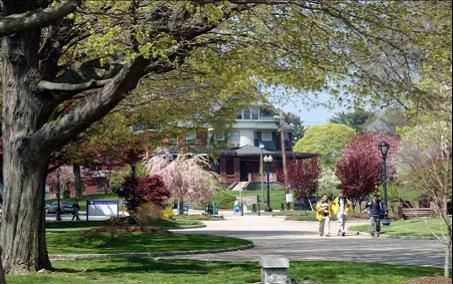 桥港大学 University of Bridgeport